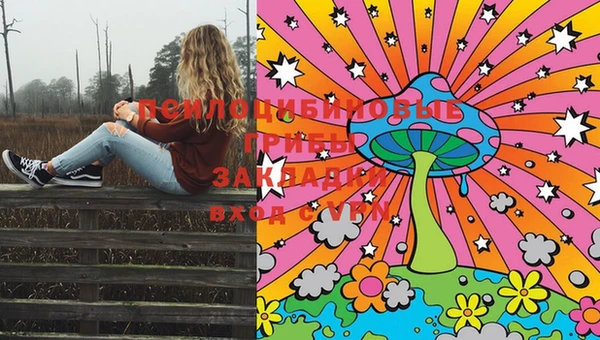 марки lsd Алексеевка