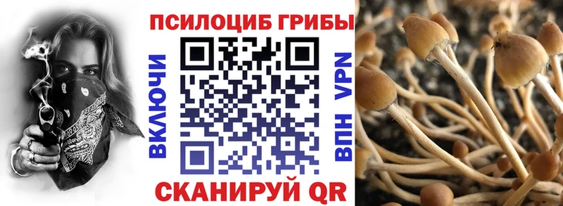 Галлюциногенные грибы прущие грибы hydra зеркало Красноярск